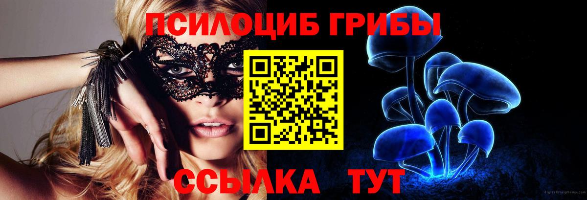 Галлюциногенные грибы GOLDEN TEACHER Амурск