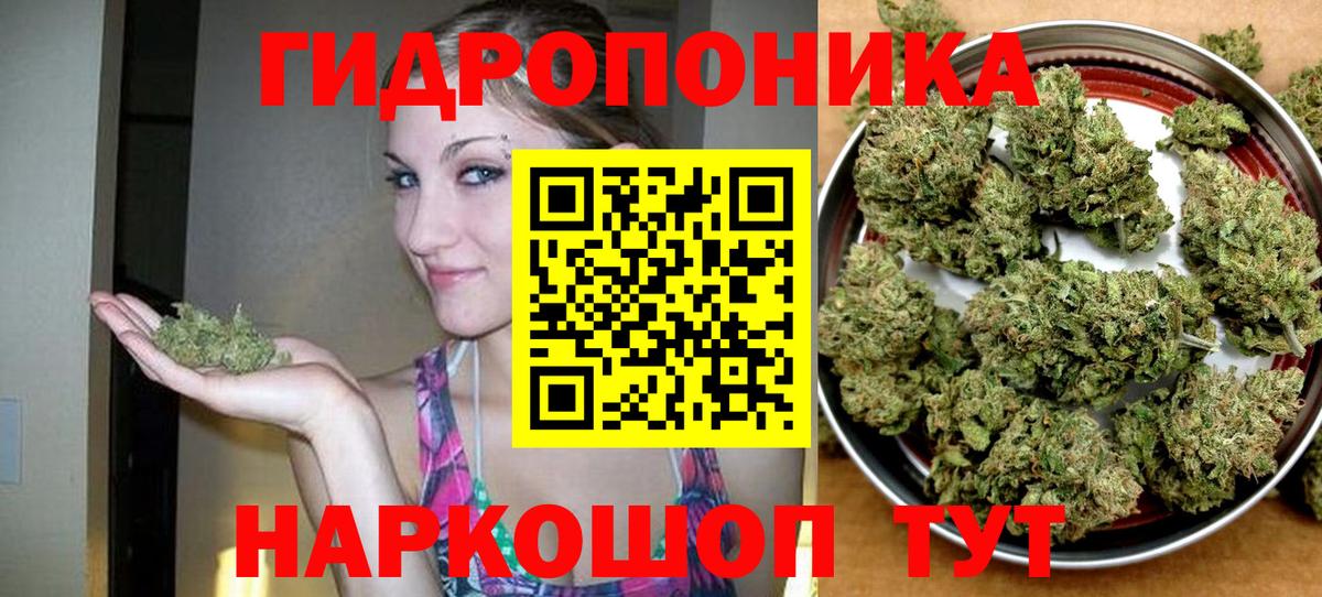 Бошки Шишки марихуана Амурск